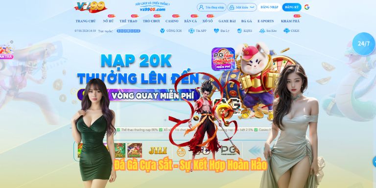 Đá Gà VZ99 Đá Gà Cựa Sắt - Sự Kết Hợp Hoàn Hảo