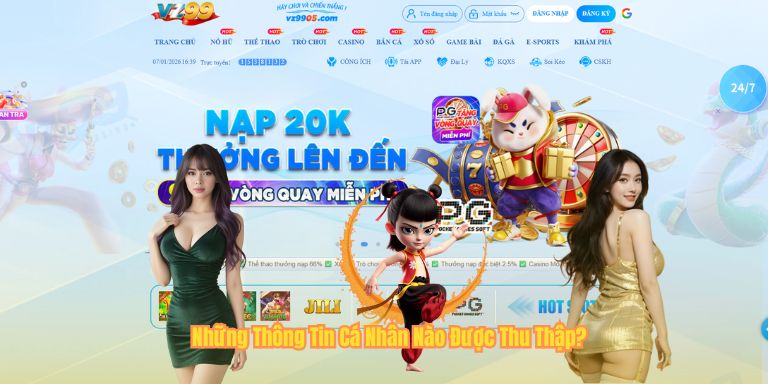 Quyền Riêng Tư VZ99 Những Thông Tin Cá Nhân Nào Được Thu Thập?