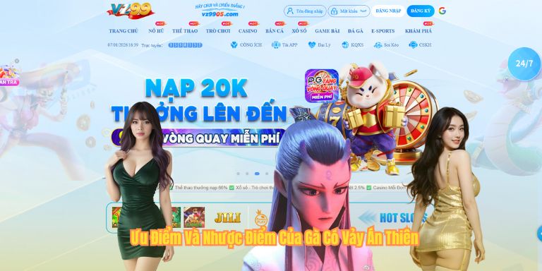 Vảy Án Thiên – Bí Ẩn Vũ Khí "Tàng Hình" Trên Chân Chiến Kê Ưu Điểm Và Nhược Điểm Của Gà Có Vảy Án Thiên